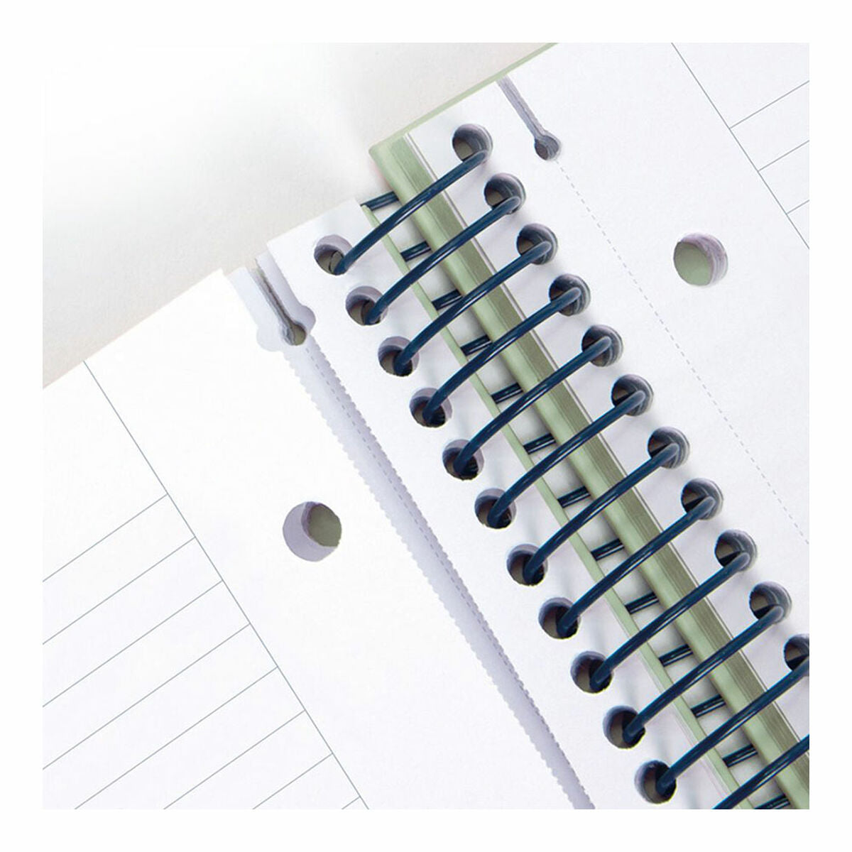 V5H64D53C0319C065999C59FC4F41D9C068R4830519P5